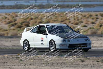 media/Oct-24-2025-Doghouse Garage (Fri) [[783d2ff07a]]/1-Advanced/Session 2 Turn 5 Tree of Life/